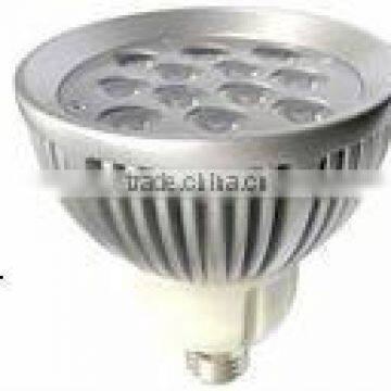 12W PAR38 spot light