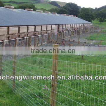 GALVANZIED AND PVC COATED CATTLE FENCE