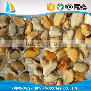 2016 new season frozen mussel meat