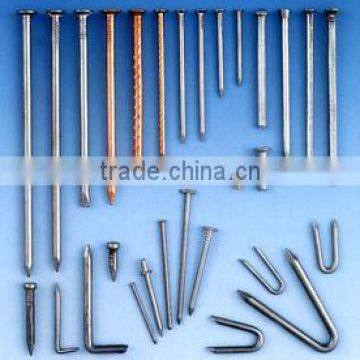 Polished iron nails ,steel common nails