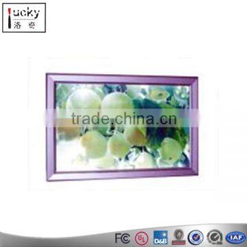Wholesale Price LED Light Box Factory,Advertising Slim Light Boxes photo-2