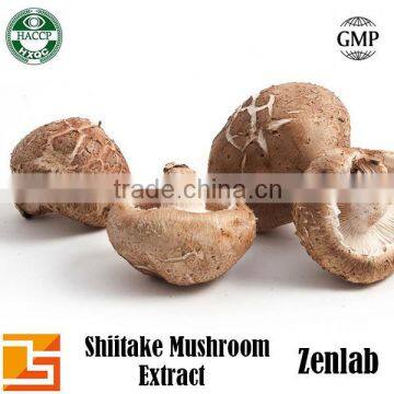 100% pure mushroom shiitake extract powder