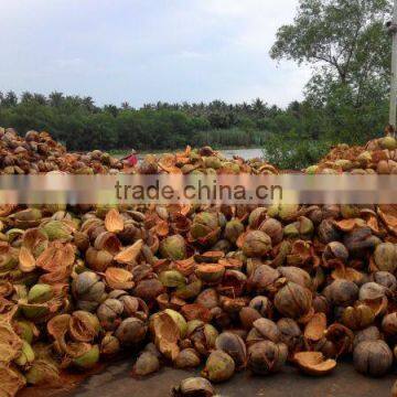 Coconut Fiber 2016 in Vietnam (qq : 2598494113)