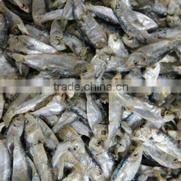 Wholesale Pet Food Dried Fish