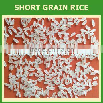 SHORT RICE 5% BROKEN (Mr.Ken - Email SALES3@VINARICE.VN - website : sonainter3)