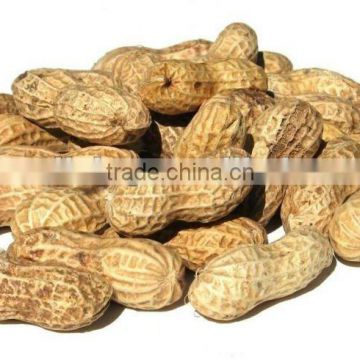 2012 dried peanut/peanut kernel--to buy now