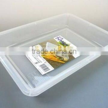 IS Wide Tray Plastic Basket