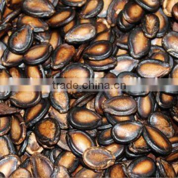 China black watermelon seeds for buyers