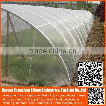 Top product pe greenhouse anti insect proof net , plastic vegetable anti insect net , nylon agricultural anti insect net