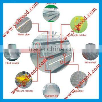 farm chicken feed system