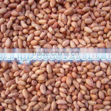 China made grain hot oil press machine for peanut