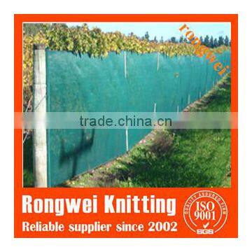 green color 50 g/m2 plastic Anti Hail Net