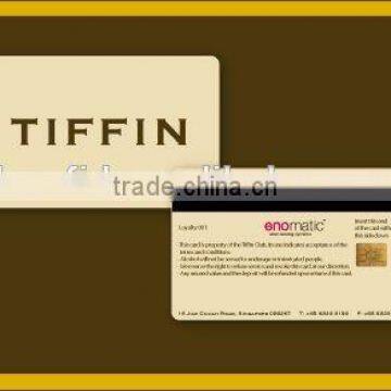 OEM Magnetic Stripe Gift Card / Metro Card/ VIP Card (Factory Price) photo-2