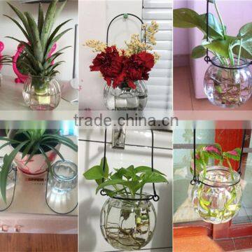 Hang Transparent Glass Vase/Other Copper Grass Plants Hang Bottle Hydroponic Flower Pot photo-6