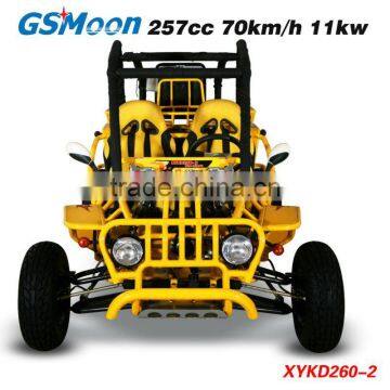 250cc EEC/EPA Racing Kart photo-3