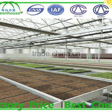 Agricultural Glass Greenhouse for Sale photo-3