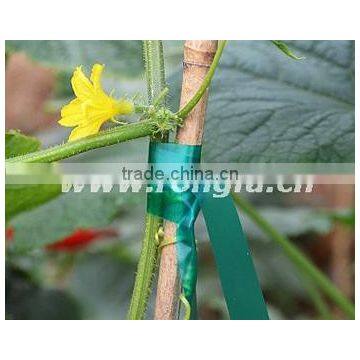 Colorful PVC Plastic Garden Tape photo-3