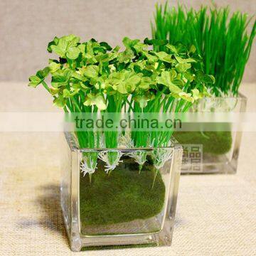 square glass vase, glass candle holder(HLTH-V038)