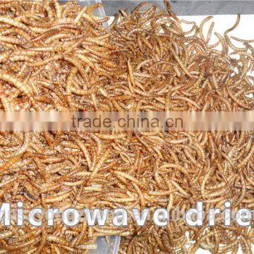 2.5cm Dried Tenebiro Molitors for Wild Bird Food photo-2