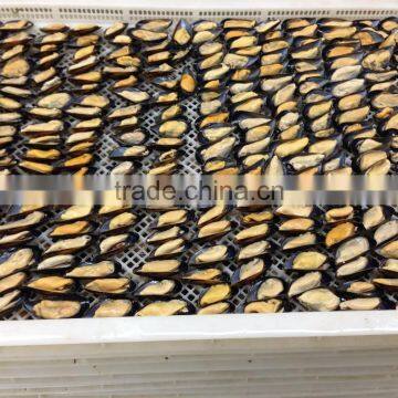 IQF Half Shell Blue Mussel photo-3