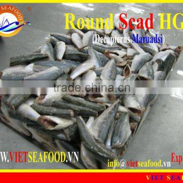 FROZEN ROUND SCAD HGT photo-4
