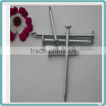 1"-6" Galvanized Concrete Steel Nails photo-5