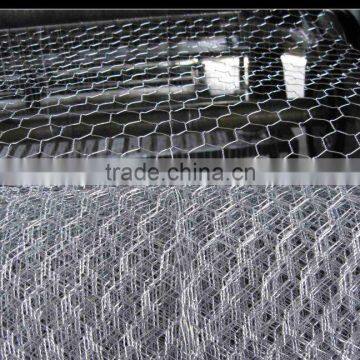 China Supplier Welded Wire Mesh photo-4
