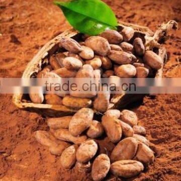 Alkalized Cocoa Powder photo-3