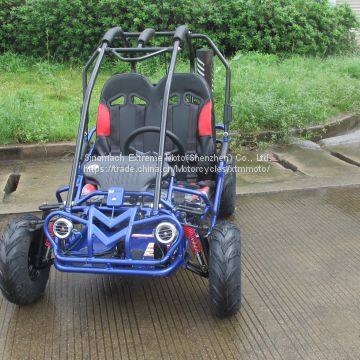 Hammerhead Mini 50 Kids off Road Buggy From China