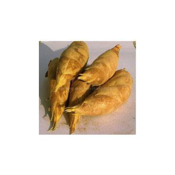 Supply Winter Bamboo Shoot