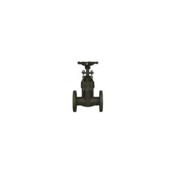 Flange End Integral Forged Steel Gate Valve