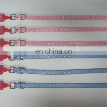 Pet Collar & Leash