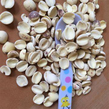 Lotus Seed Lotus Nut Lotus Kernel Dried Half White Lotus Seed Paste Health Food photo-3