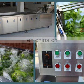 Fruit and Vegetable Processing Machines/food Production Line Equipment/fruit And Vegetable Washing Machine photo-7