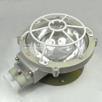 Explosion-proof ceiling lamp BAX51-100 Series Explosion proof lamp