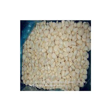 SHANGHAI PORT SHIP CHANDLER IN CHINA photo-5