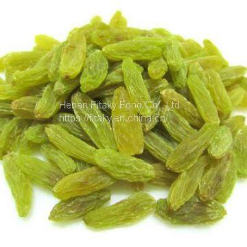 Dehyrdtated Green Raisin Wholesale Price