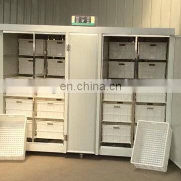 Healthy Automatic Green Bean Sprouting Machine for Sale photo-2