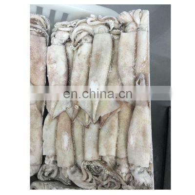 Chinese hot sale squid for bait import export squid