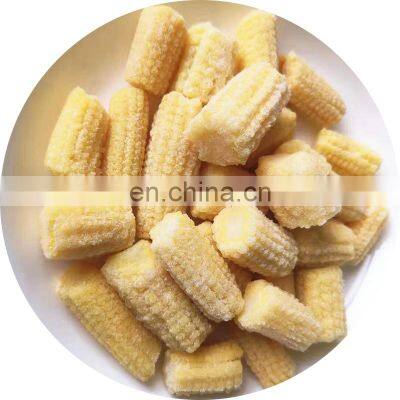 BRC Certified 2 - 4cm / 1 - 3 cm  Cut IQF Frozen Baby Corn slice  for Sale