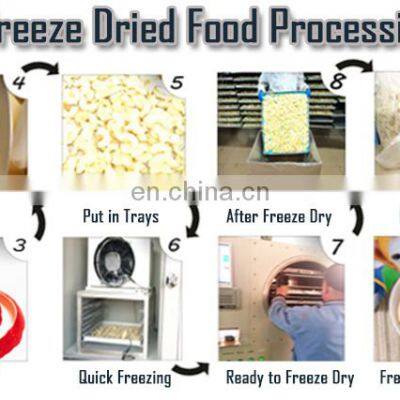 Wholesale Freeze Dried Fruit Vacuum Dryer Freeze Drying Lyophilizer Price Industrial Freeze Dryer Food photo-4