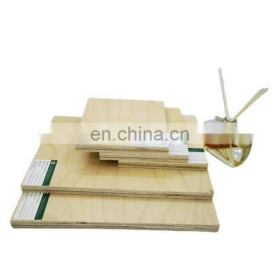 Hot sale birch plywood 18mm/ bintangor okoume plywood for furniture