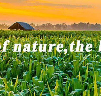 Shanghai Unitebiz International Trade Co.,Ltd. company overview - view 1