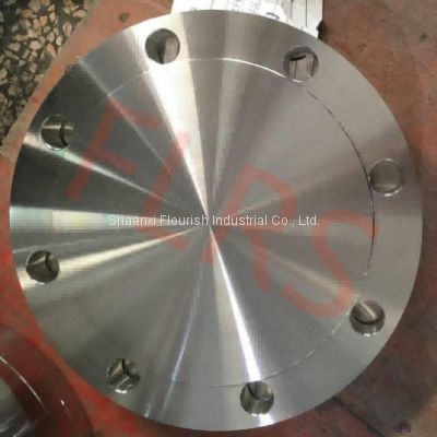 6 Inch Forged Stainless Steel Pipe Blind Flanges ASTM A182 F316 ASME B16.5