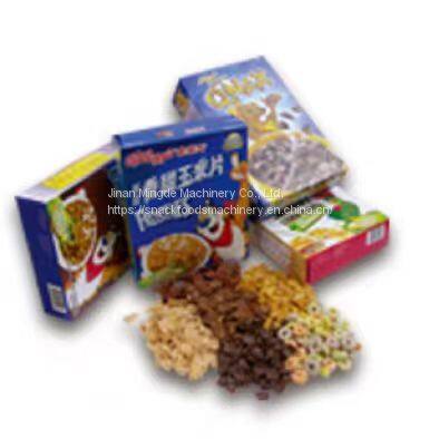 Factory Price Different Capacity Corn Flakes Extruding Making Machine Breakfast Cereal Corn Flakes Production Line photo-5