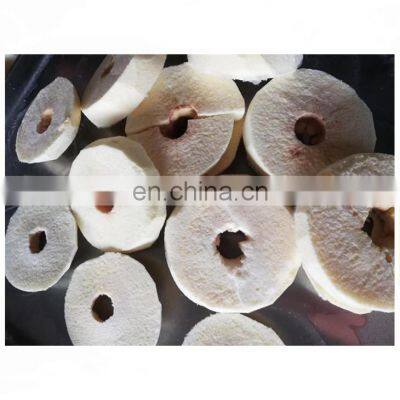 Commercial Banana Chips Fruit Chips Vacuum Freeze Dryer photo-4