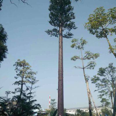 Telecom Artificial Bionic Tree for Camouflaged Telecommunication Tower with Brackets