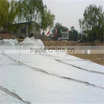 PET Filament Spunbond Needle Punched Geotextile