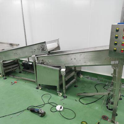 Automated Factory Supplier: Juice Bursting Ball Production Line, Cold Crystal Ball Manufacturing Machine photo-4