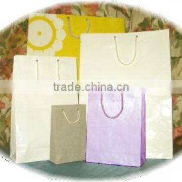 Colored Eyelet-Rope Handle Paper Bags CERHPB-0003